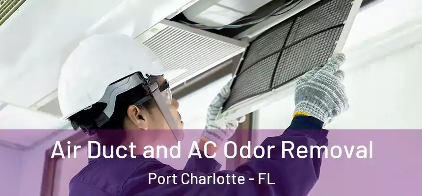 Air Duct and AC Odor Removal Port Charlotte - FL
