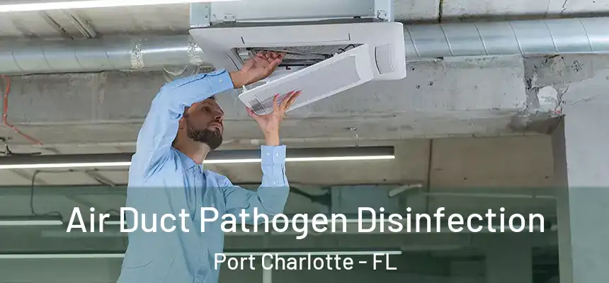 Air Duct Pathogen Disinfection Port Charlotte - FL