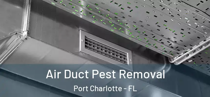 Air Duct Pest Removal Port Charlotte - FL