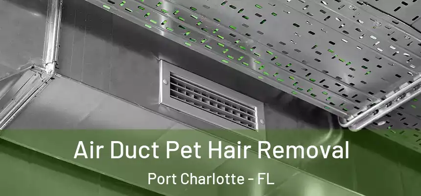 Air Duct Pet Hair Removal Port Charlotte - FL
