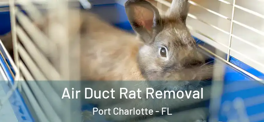 Air Duct Rat Removal Port Charlotte - FL