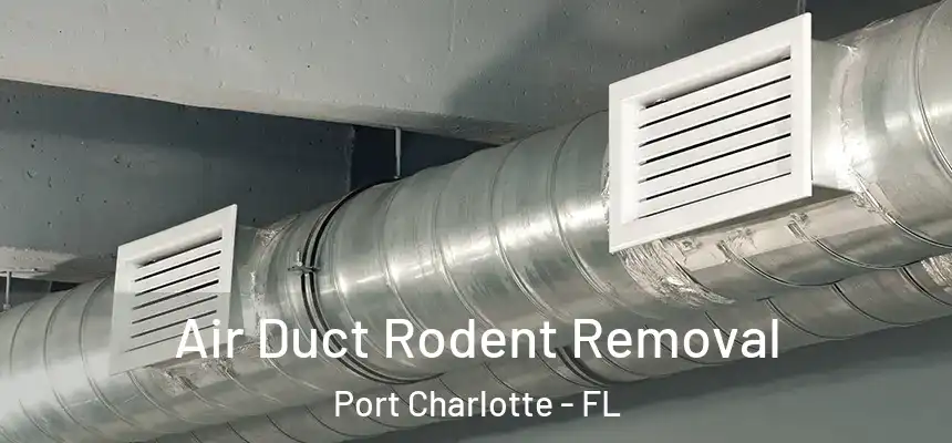Air Duct Rodent Removal Port Charlotte - FL