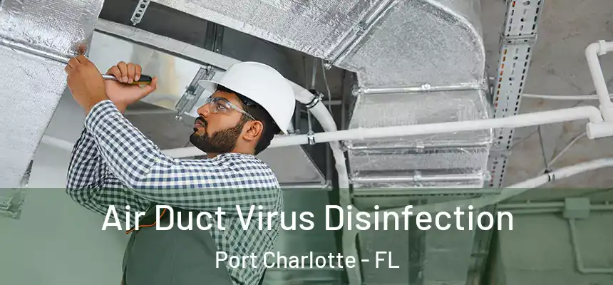  Air Duct Virus Disinfection Port Charlotte - FL