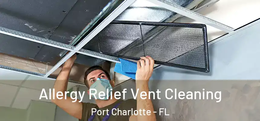 Allergy Relief Vent Cleaning Port Charlotte - FL