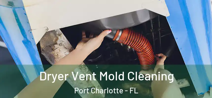 Dryer Vent Mold Cleaning Port Charlotte - FL