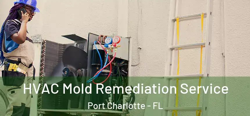 HVAC Mold Remediation Service Port Charlotte - FL