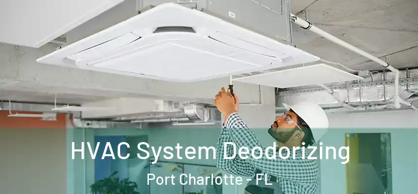  HVAC System Deodorizing Port Charlotte - FL