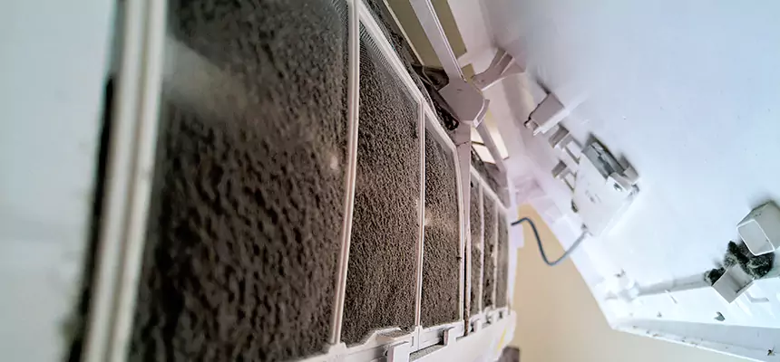 Preventive Air Duct Bacteria Removal in Port Charlotte