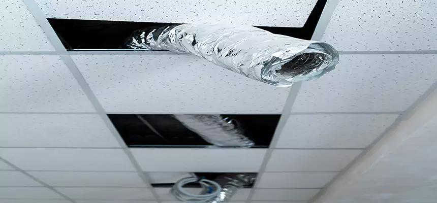 Our Air Duct Pet Hair Removal Services in Port Charlotte, FL