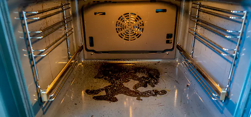 Our Dryer Vent Mold Cleaning Services in Port Charlotte, FL