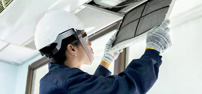 Our Mold & Mildew Removal from Air Ducts Services in Port Charlotte, FL