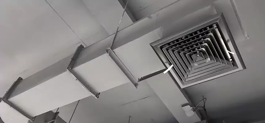 Our Pest Removal From Ducts Services in Port Charlotte, FL