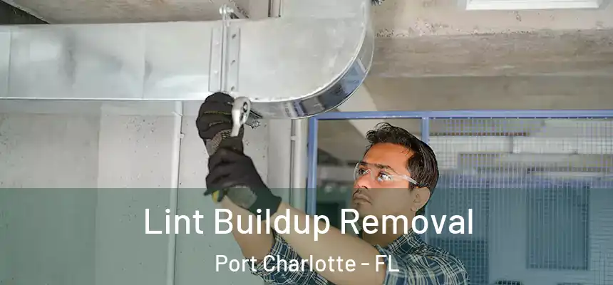 Lint Buildup Removal Port Charlotte - FL