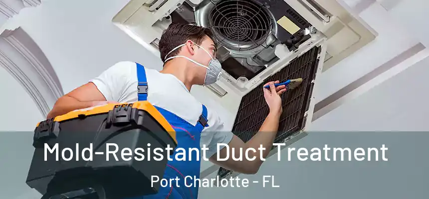 Mold-Resistant Duct Treatment Port Charlotte - FL