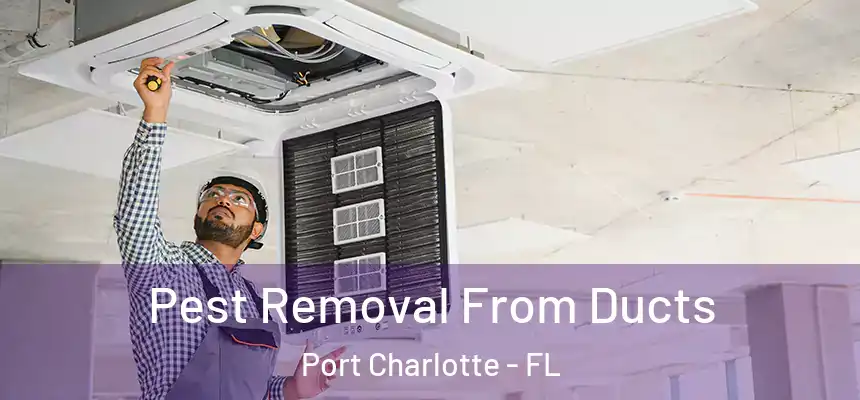 Pest Removal From Ducts Port Charlotte - FL