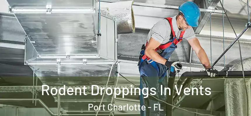 Rodent Droppings In Vents Port Charlotte - FL