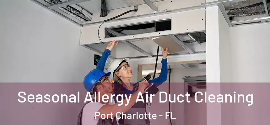 Seasonal Allergy Air Duct Cleaning Port Charlotte - FL