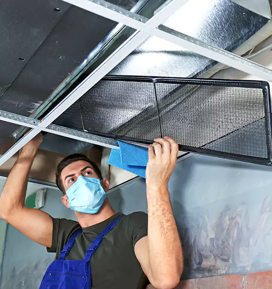 Professional Air Duct Pollen Cleaning in Port Charlotte, FL