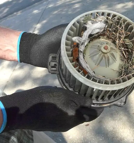 About Air Duct Rat Removal in Port Charlotte, FL