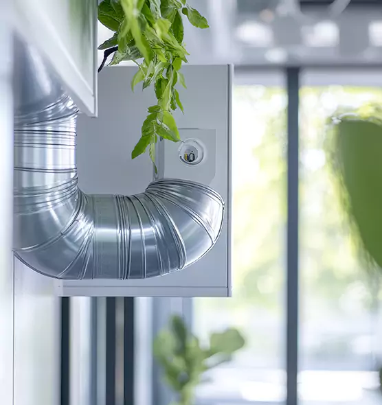 Professional Eco-Safe Dryer Vent Cleaning in Port Charlotte, FL