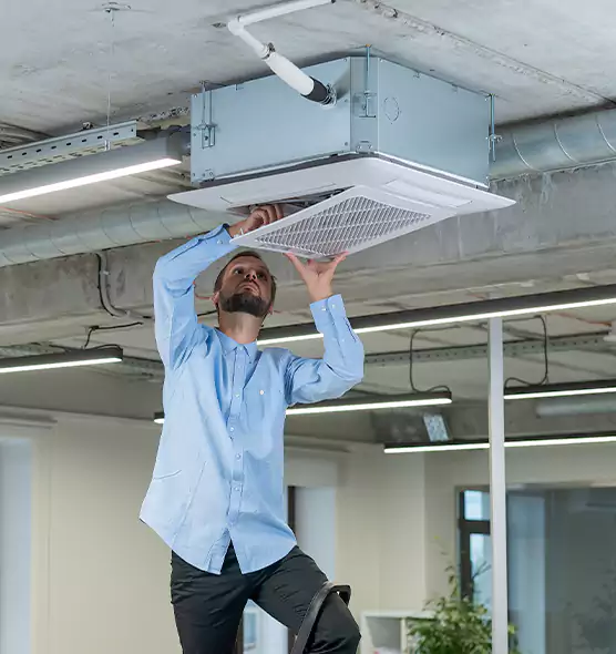 Advanced Rodent Droppings In Vents in Port Charlotte, FL