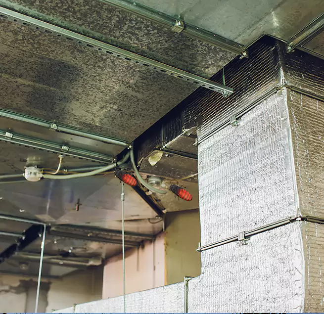 Why Homeowners & Businesses Trust Us in Port Charlotte, FL?