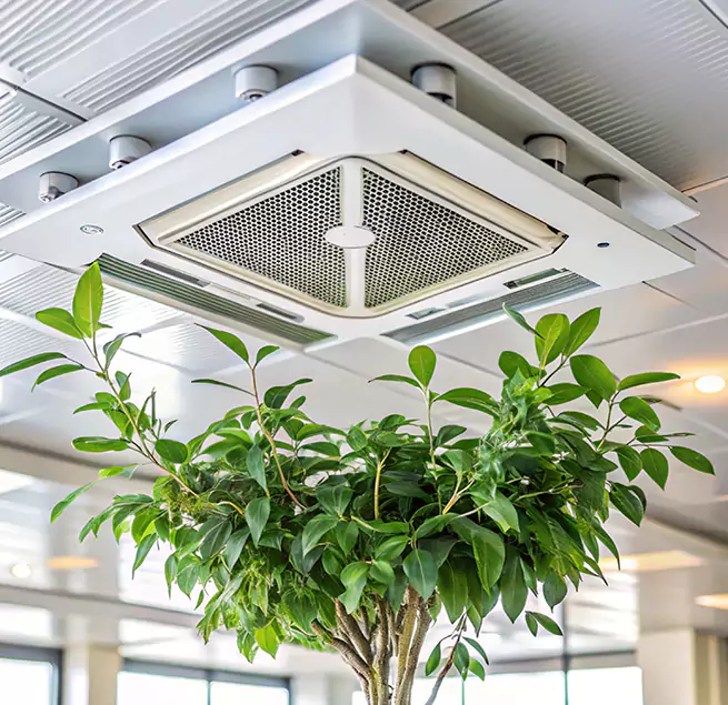 Why Homeowners & Businesses Trust Us in Port Charlotte, FL?