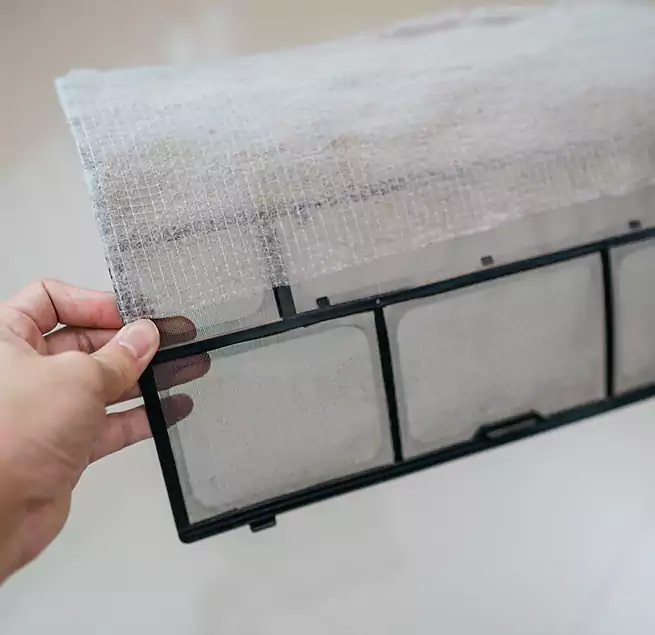 Why Homeowners & Businesses Trust Us in Port Charlotte, FL?