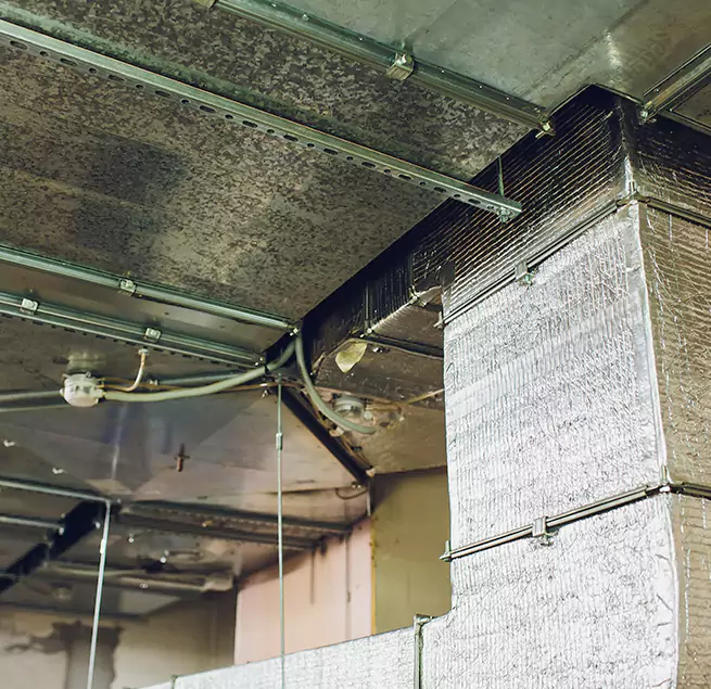 Why Homeowners & Businesses Trust Us in Port Charlotte, FL?