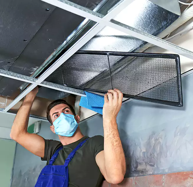 Why Homeowners Businesses Trust Us in Port Charlotte, FL